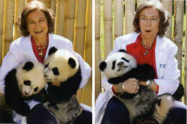Queen Sofia of Spain and pandas