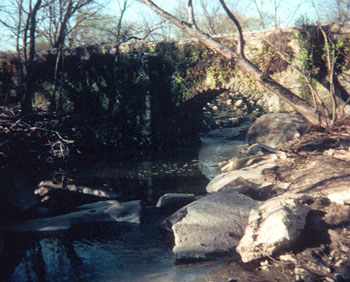 Margill_Stream.jpg - 58714 Bytes