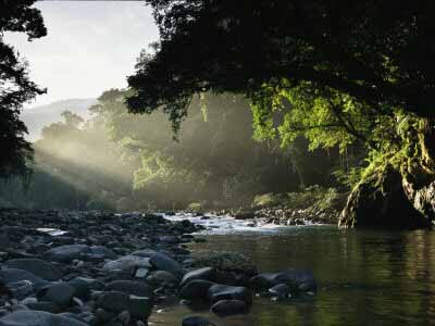 Río del bosque