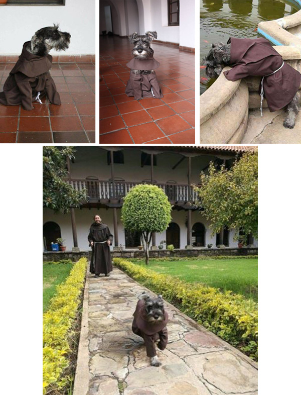 Franciscan dog in Cochabamba 2