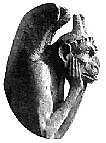 gargoyle