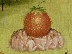 bosch strawberry