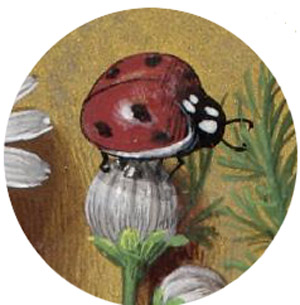 medieval painting of a ladybug