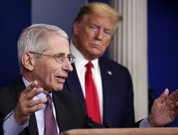 Fauci and Trump