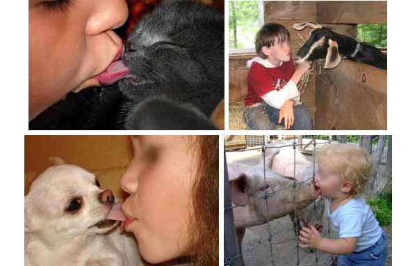 Don't kiss animals