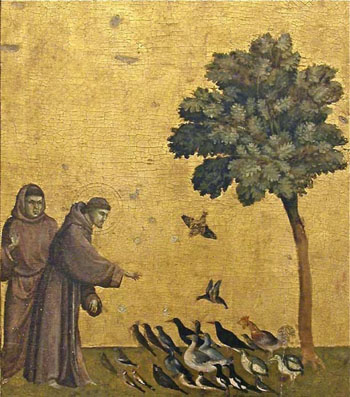 st Francis birds