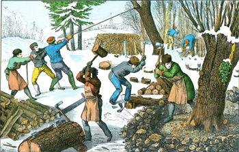 a woodcutting scene