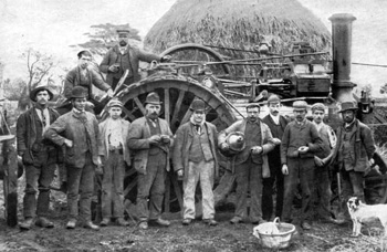 threshing