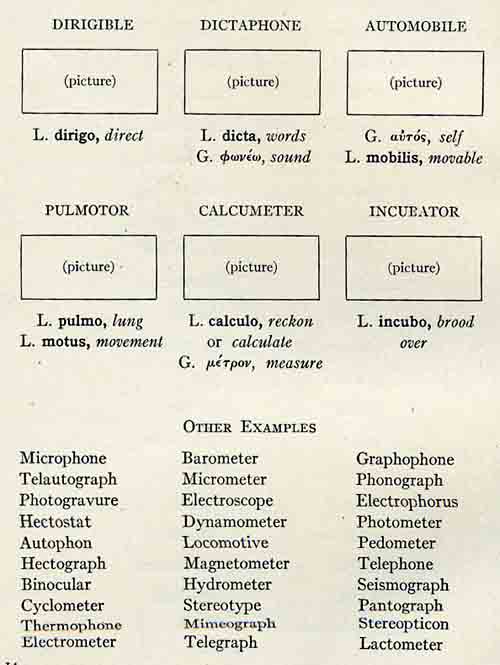 Greek and Latin scientific words