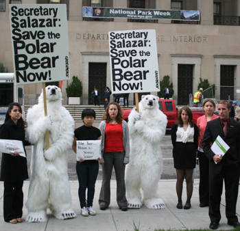 Greenpeace demosntrators dressed as polar bears