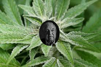 George Soros is behind the legalization of marijuana