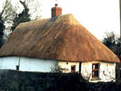 Thatched cottage