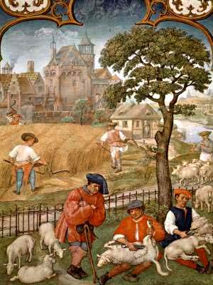 medieval sheep shearing
