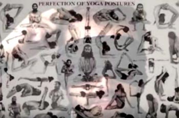 yoga poses