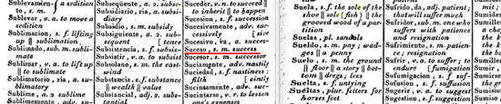 Spanish English dictionary says suceso translates to success