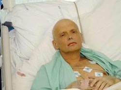Litvinenko on his deathbed