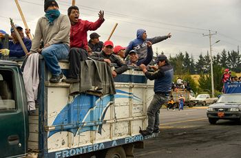 trucks of indigenous