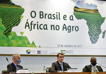 brazil agriculture