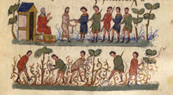 The parable of the workers in the vineyard