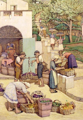 A Grapes market