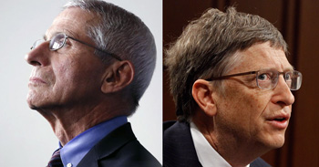 Fauci & Bill Gates