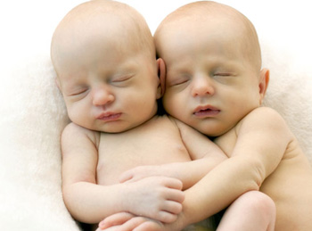 No 'gay' gene is hardwired in the DNA of babies