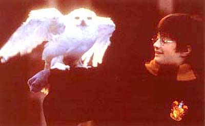 D003HT2.PotterBird.jpg - 12404 Bytes