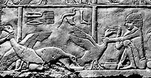 D005_egyptian.jpg - 41175 Bytes