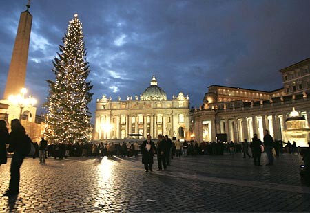 A large Christmas tree in St. Peter's square, Rome