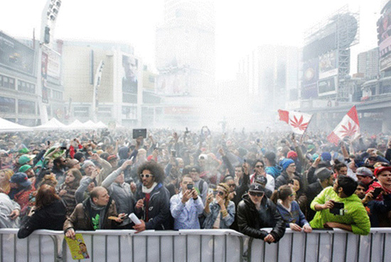 Marijuana party 5