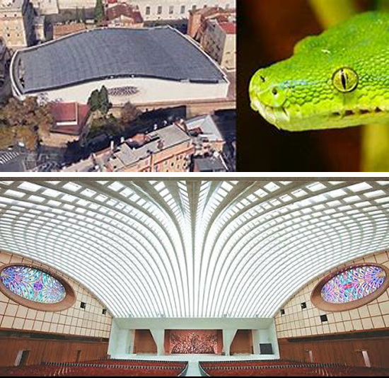 Paul VI Hall compared to a snake head