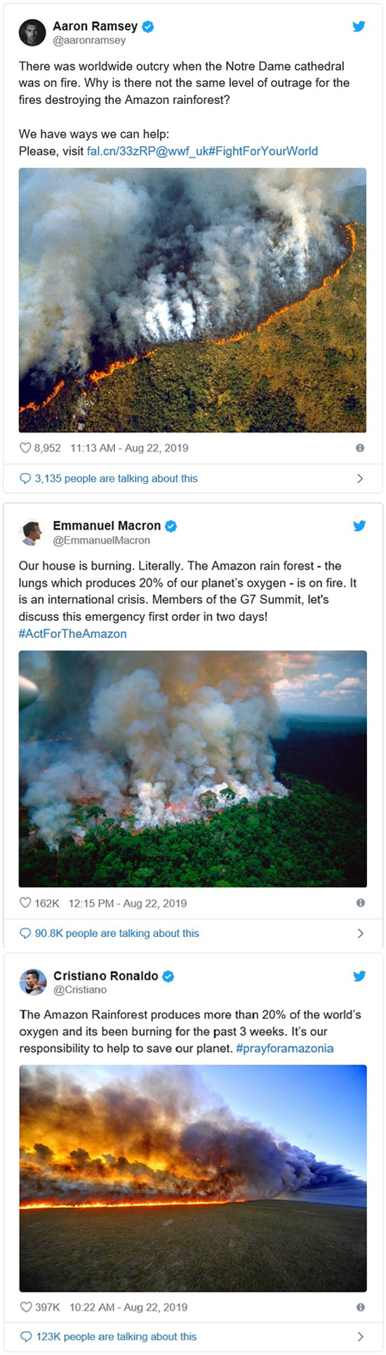 Tweeter on Amazon - Macron