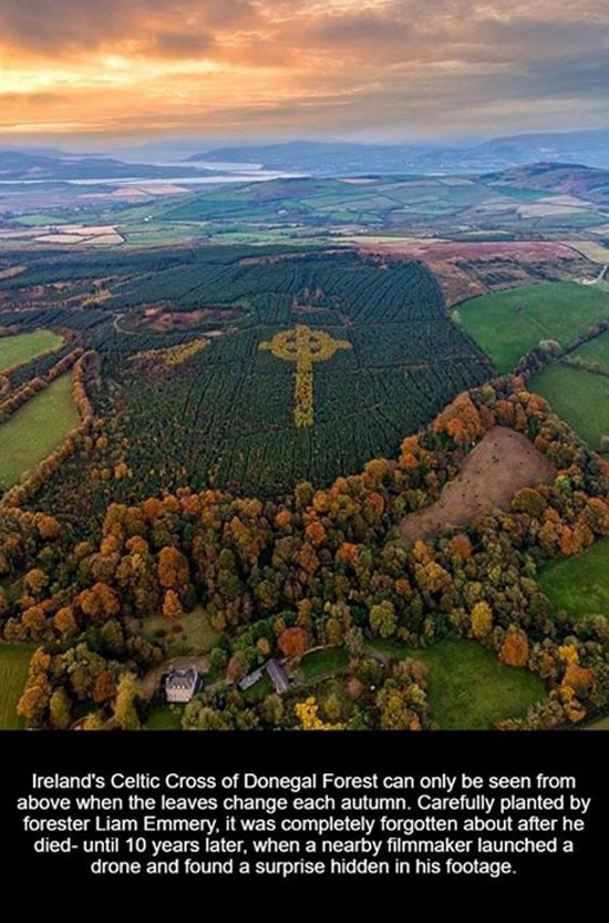 Celtic Cross in a forest