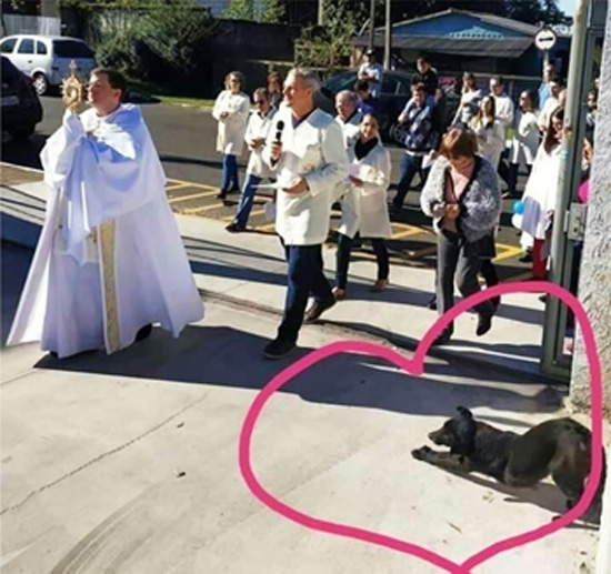 Dog kneeling to the Blessed Sacrament