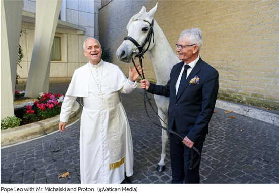 Papal horse