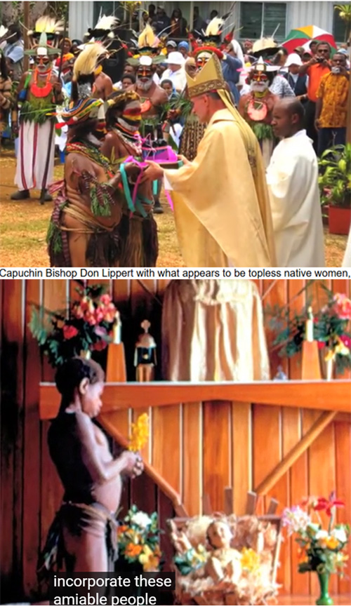 Capuchins in Papua New Guines