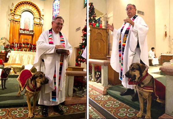 Altar dogs 01