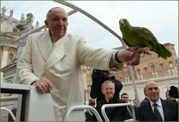 Pope & parrot 1
