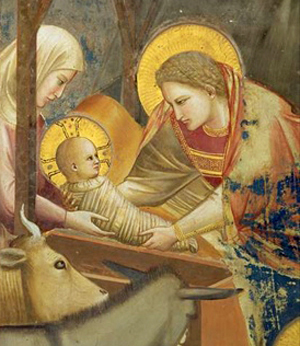 The Nativity, by Giotto