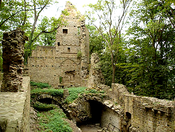 The ruins of the Convent of Disibodenberg