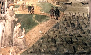 St. Anthony preaches to the fish