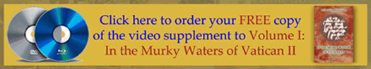 banner video murky waters
