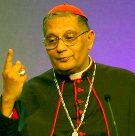 Cardinal Dias