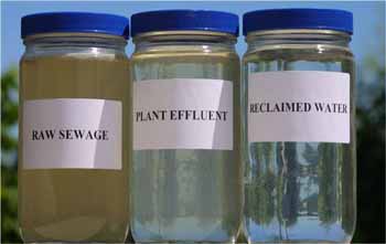 jars of sewer water and treated water