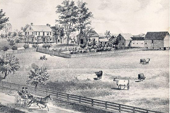 Saratoga farmstead