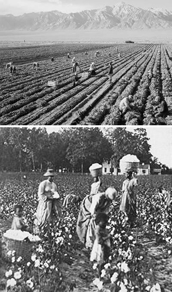 Slaves at plantation in South Carolina