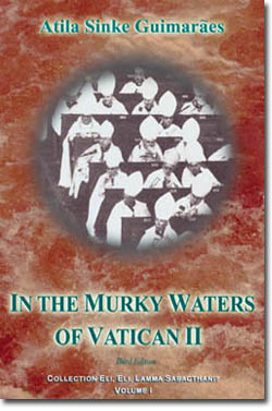 in the murky waters of vatican II book cover