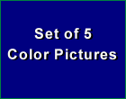 5 Color Pictures