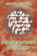 In the Murky Waters of Vatican II