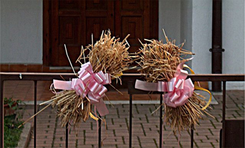 hay for st lucy's donkey